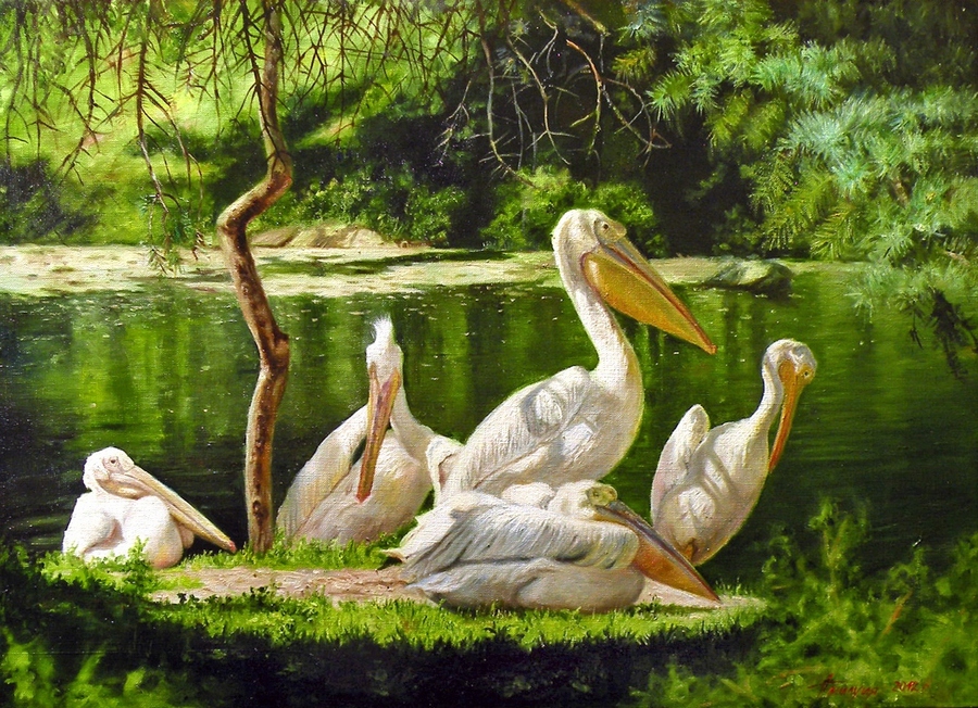 Семья пеликанов х.м. 50х70 2012. 2